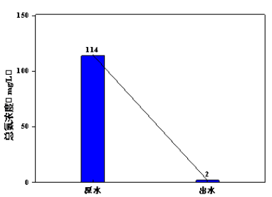 總氮去除菌101調試