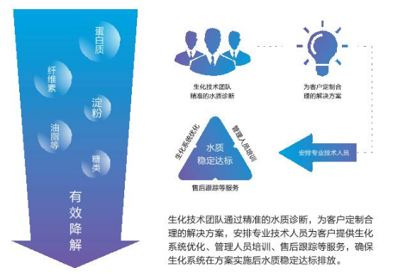 有機物去除生物強化服務