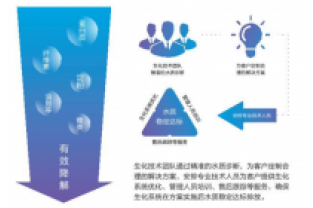 總氮降解綜合解決方案