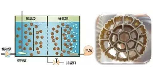 生物膜反應器